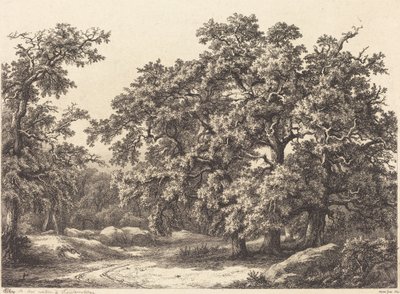 奥克斯，1840年。 作者 尤金·布莱