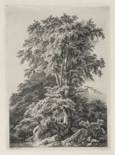在大自然之后绘制和雕刻的研究：枫丹白露海滩，1840年。 作者 尤金·布莱