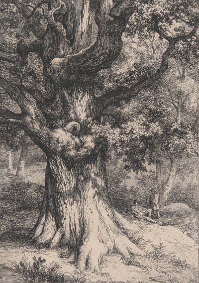 查理曼号，有鹰巢的橡树，1845年。 作者 尤金·布莱