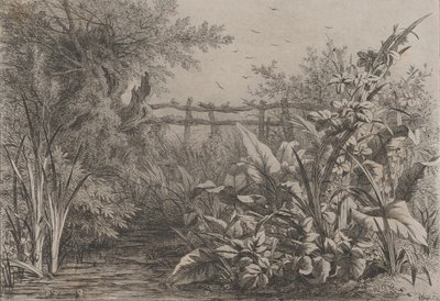 池塘》，1857年。 作者 尤金·布莱