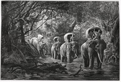 在进入森林的路上，探险队在大象的背上旅行。Eugene Burnand的版画，为P.Neis博士1880年的故事《上老挝之旅》作插图。发表于Le Tour du monde, nouveau journal des voyages, 2nd semester 18 作者 尤金·伯恩（Eugene Burnand）