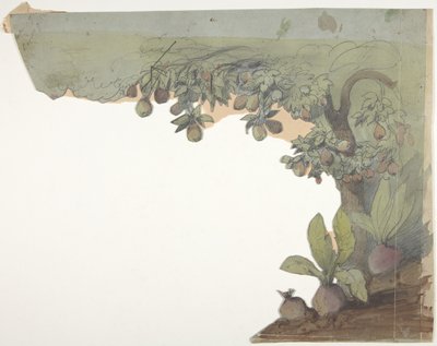 巴黎歌剧院的舞台布景设计，1830-90。 作者 尤金·西塞里