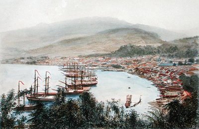 从马提尼克岛圣马特炮台看到的圣皮埃尔景色（彩色石版画）。 作者 尤金·西塞里