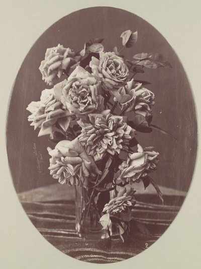 [玫瑰]，约1875年。 作者 尤金·肖维尼