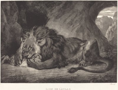 阿特拉斯山脉的狮子 Lion de l