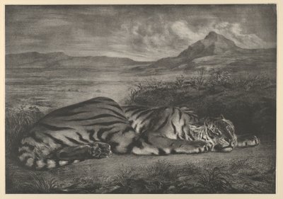皇家虎，1829年，1829年。 作者 尤金·德拉克洛瓦