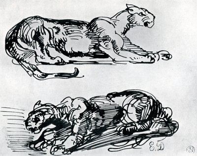 黑豹研究，1913年 作者 费迪南德·维克多·尤金·德拉克罗瓦