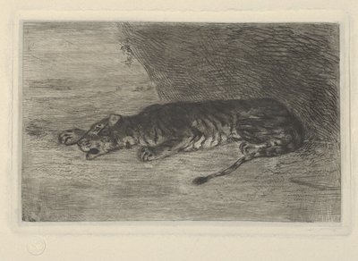 躺在巢穴入口处的老虎，约1828-30.，约1828-30. 作者 尤金·德拉克洛瓦