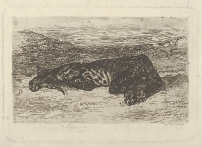 躺在沙漠中的老虎，1846年...，1846年。 作者 尤金·德拉克洛瓦