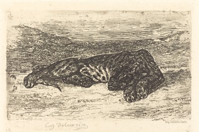 睡在沙漠里的老虎 Tigre couché dans le désert, 1846. 作者 尤金·德拉克洛瓦