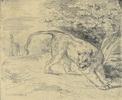 Tigre en Arrêt 作者 尤金·德拉克洛瓦