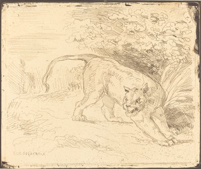 休息中的老虎，1854年。 作者 尤金·德拉克洛瓦