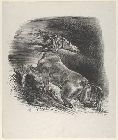 野马，1828.，1828.。 作者 尤金·德拉克洛瓦