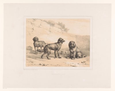 Drie honden
Diverse dieren（系列名称）
动物研究（丛书名） 作者 弗兰斯·布法恩·佐南