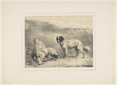 Drie honden
Diverse tamme dieren（系列名称）
十三种家畜和本地动物（丛书名） 作者 欧仁·韦伯霍芬（EugèneVerboeckhoven）