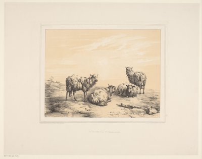 Vier schapen
Diverse dieren（系列名称）
Études d