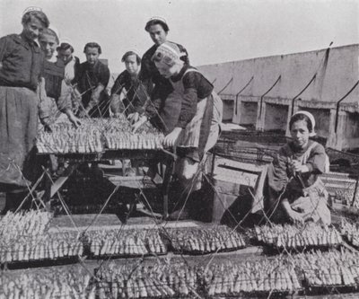 Drying sardine (b/w photo) 作者 欧洲摄影师