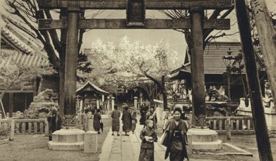 日本，东京街头，樱花盛开时节（黑白照片）。 作者 欧洲摄影师