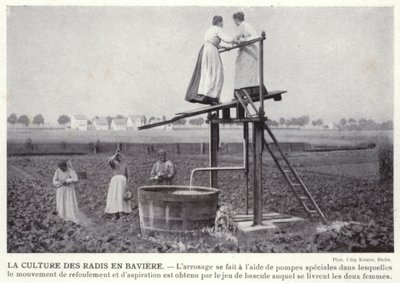 La Culture Des Radis En Baviere (b/w photo) 作者 欧洲摄影师