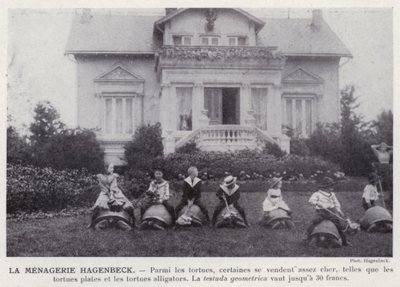 La Menagerie Hagenbeck (b/w photo) 作者 欧洲摄影师