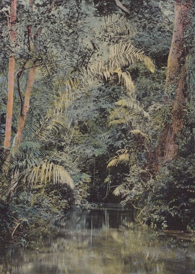 La Riviere IVI 作者 欧洲摄影师