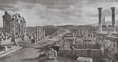 Timgad (b/w photo) 作者 欧洲摄影师