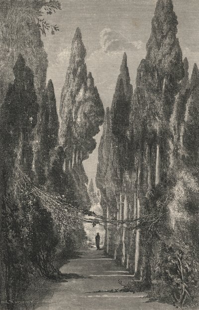 Allee Du Generalife (雕刻) 作者 欧洲学校