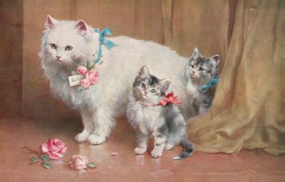 猫明信片（彩色平版） 作者 欧洲学校