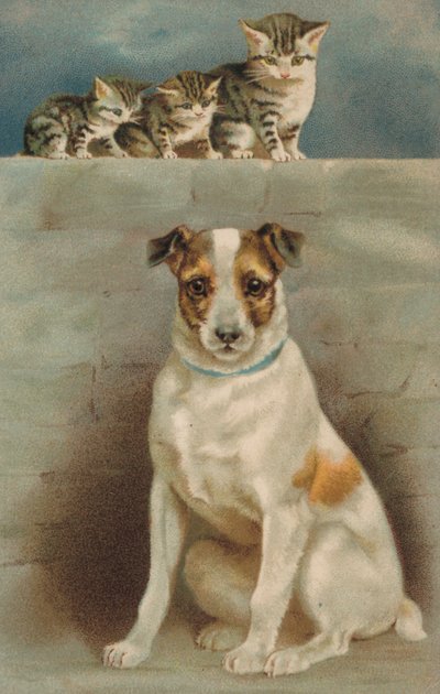 猫观察狗（彩色石版画） 作者 欧洲学校
