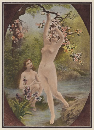 夏娃的女儿们，带着树花的女人（彩色石版画） 作者 欧洲学校