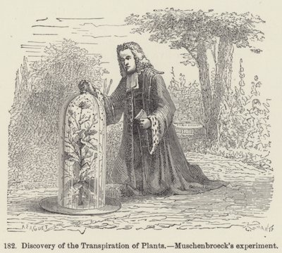 植物蒸腾作用的发现，Muschenbroeck 的实验（雕刻） 作者 欧洲学校