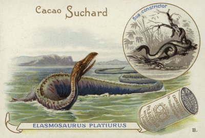 Elasmosaurus和蟒蛇 作者 欧洲学校