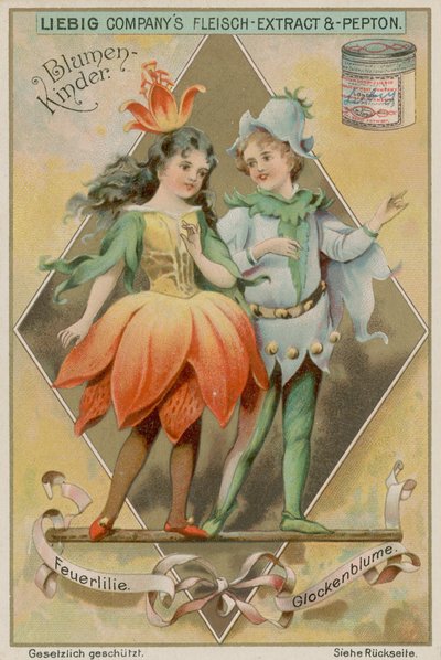 火百合和蓝铃花 作者 欧洲学校
