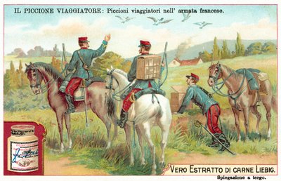 French Army carrier pigeons (chromolitho) 作者 欧洲学校