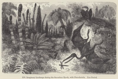 Imaginary Landscape during the Secondary Epoch, with Pterodactyls, Lias Period (engraving) 作者 欧洲学校