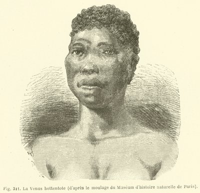 Hottentot Venus，来自巴黎自然历史博物馆的铸件（雕刻） 作者 欧洲学校