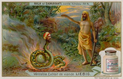 娜拉拯救了Snake Naga Karkotaka 作者 欧洲学校