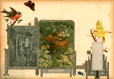Sammelsurium 第一卷页面（印刷品） 作者 欧洲学校
