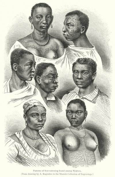 Patterns of Scar-tattooing found among Negroes (engraving) 作者 欧洲学校