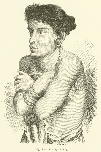 Sauvage stieng (engraving) 作者 欧洲学校