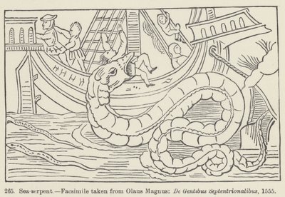 Sea-serpent (engraving) 作者 欧洲学校