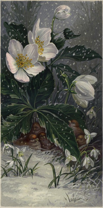 麻雀在开花植物下躲避风雪（彩色石版画） 作者 欧洲学校