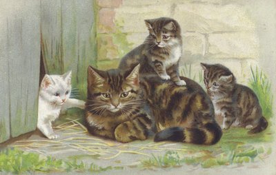 带着三只小猫的虎斑猫（chromolitho） 作者 欧洲学校