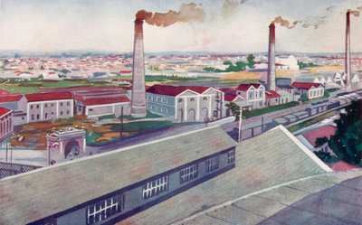 圣保罗州圣安娜工厂国家黄麻技术协会的黄麻厂（彩色石版画） 作者 欧洲学校
