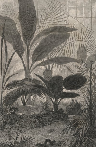 冬季花园（版画） 作者 欧洲学校