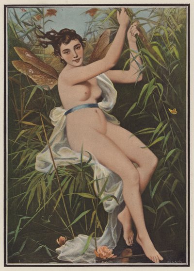 打扮成蜻蜓的女人（彩色石版画） 作者 欧洲学校