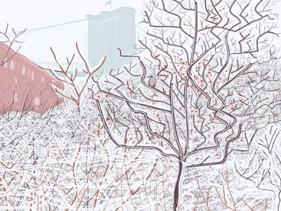 雪中鸟，布鲁克林大桥公园（数字艺术） 作者 埃文·斯克拉