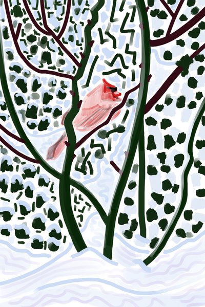 雪中红衣主教（数字艺术） 作者 埃文·斯克拉