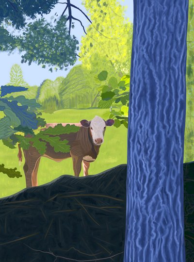 田野中的牛，2025 年（数字艺术） 作者 埃文·斯克拉