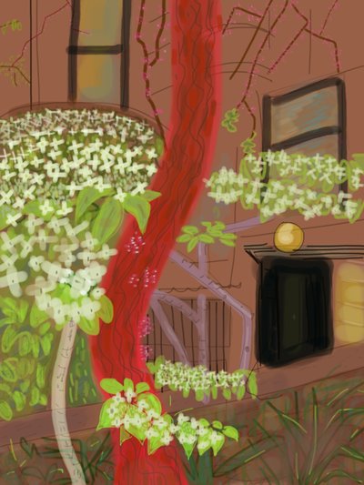 开花的山茱萸树，2015 年（用 Apple 铅笔在 iPad 上手绘） 作者 埃文·斯克拉
